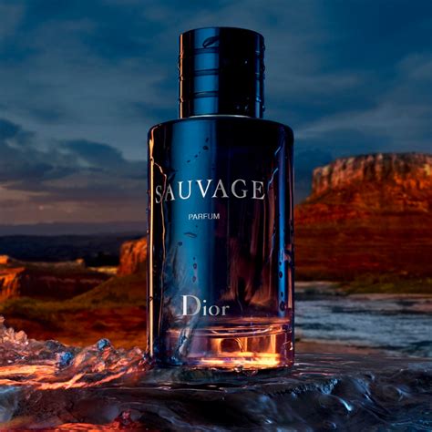 dior sauavge price history|sauvage by Dior cologne.